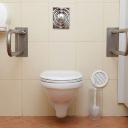 Choosing a Disability Toilet and Bathroom for the Home