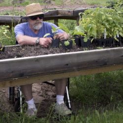 Man in a wheelchair working with his plants at a raised potting bench