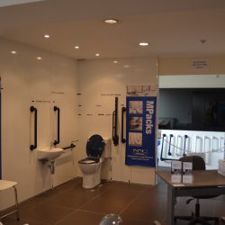 bathroom disability equipment